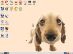 Puppy Linux 3.01
Screenshot