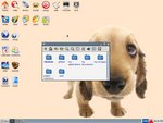 Puppy
Linux 3.01
Screenshot