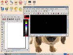 Puppy Linux 3.01
Screenshot